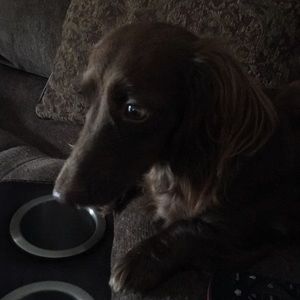 Meet your Posher, Kari